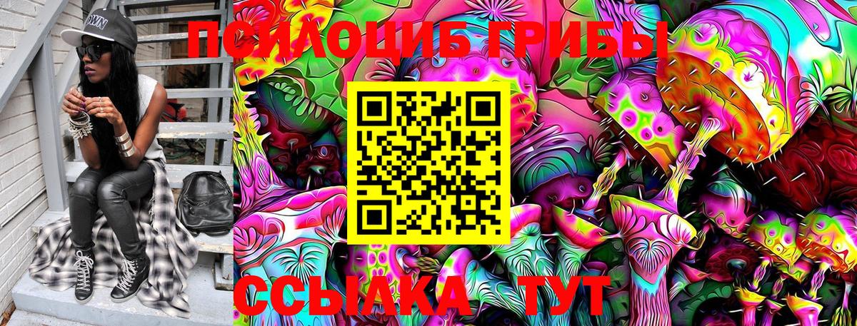 Галлюциногенные грибы Psilocybine cubensis  Вход с VPN  Галлюциногенные грибы Magic Shrooms  Знаменск 