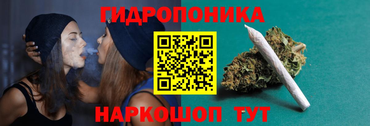 Шишки марихуана OG Kush Знаменск